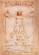 LEONARDO da Vinci Rule fur the proportion of the human figure Germany oil painting artist